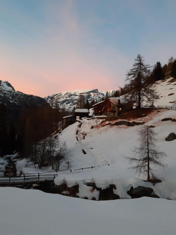 Piccola Residenza Apartment Champoluc Luaran gambar