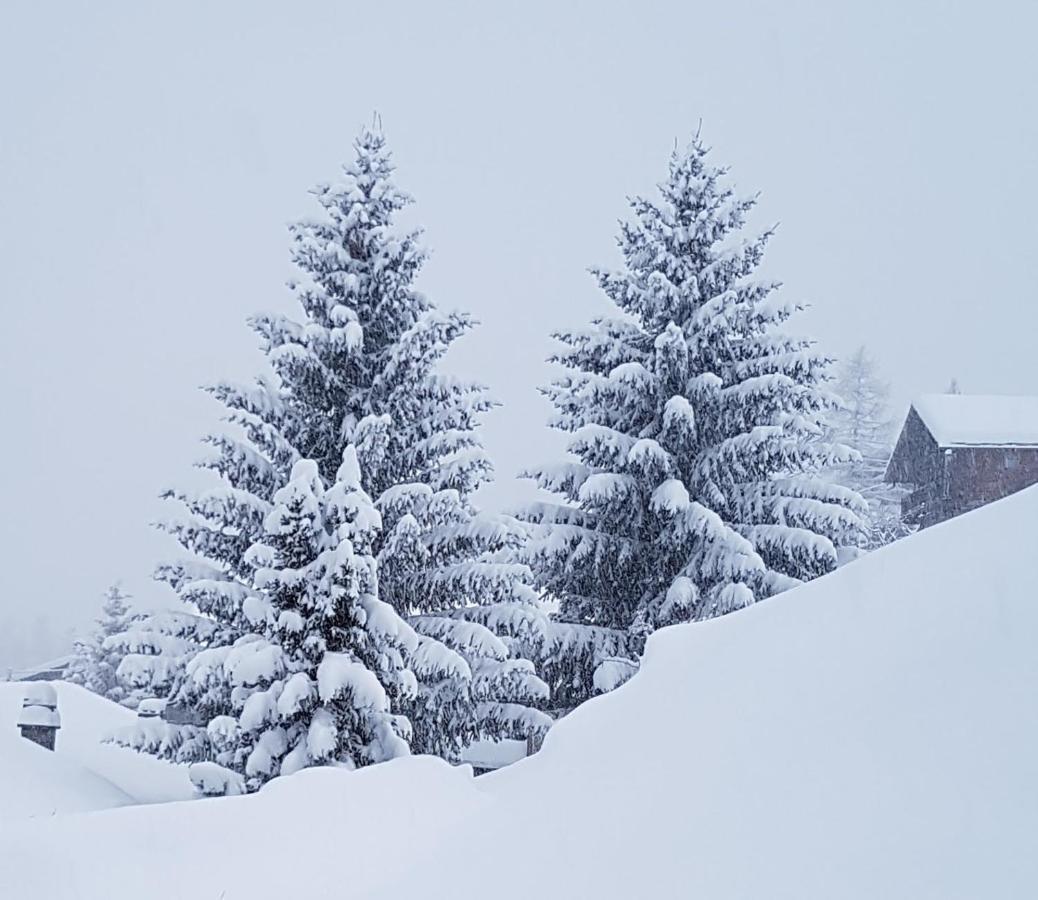 Piccola Residenza Apartment Champoluc Luaran gambar
